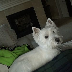 Meet your Posher, Evan